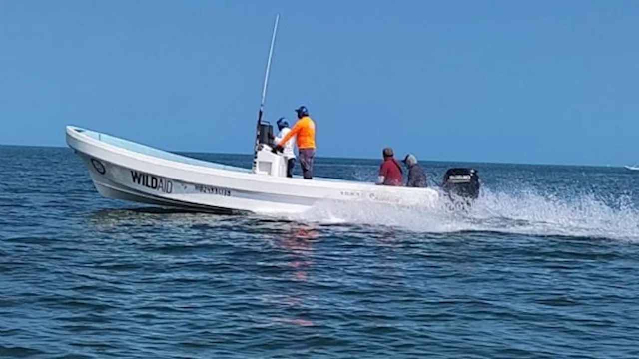 Rescatan a dos pescadores en Escuinapa, Sinaloa; estaban desaparecidos desde hace dos días