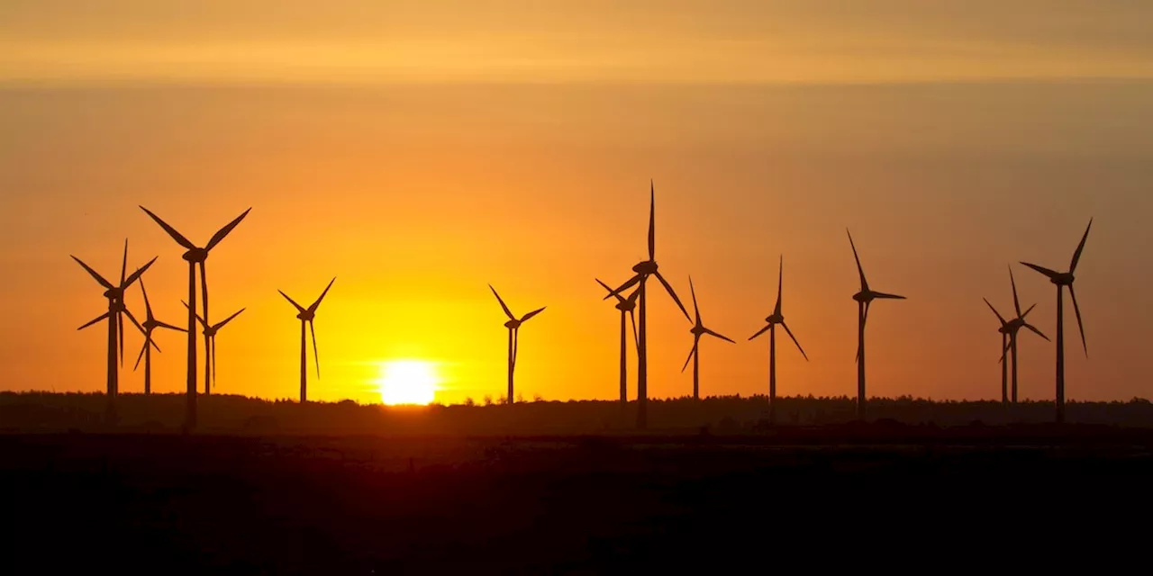 Die entscheidende Energie-Reform, die Deutschlands Zukunft sichern kann