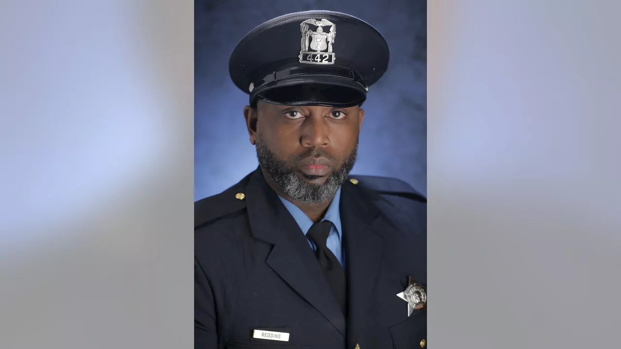 Oak Park police detective fatally shot, suspect in custody