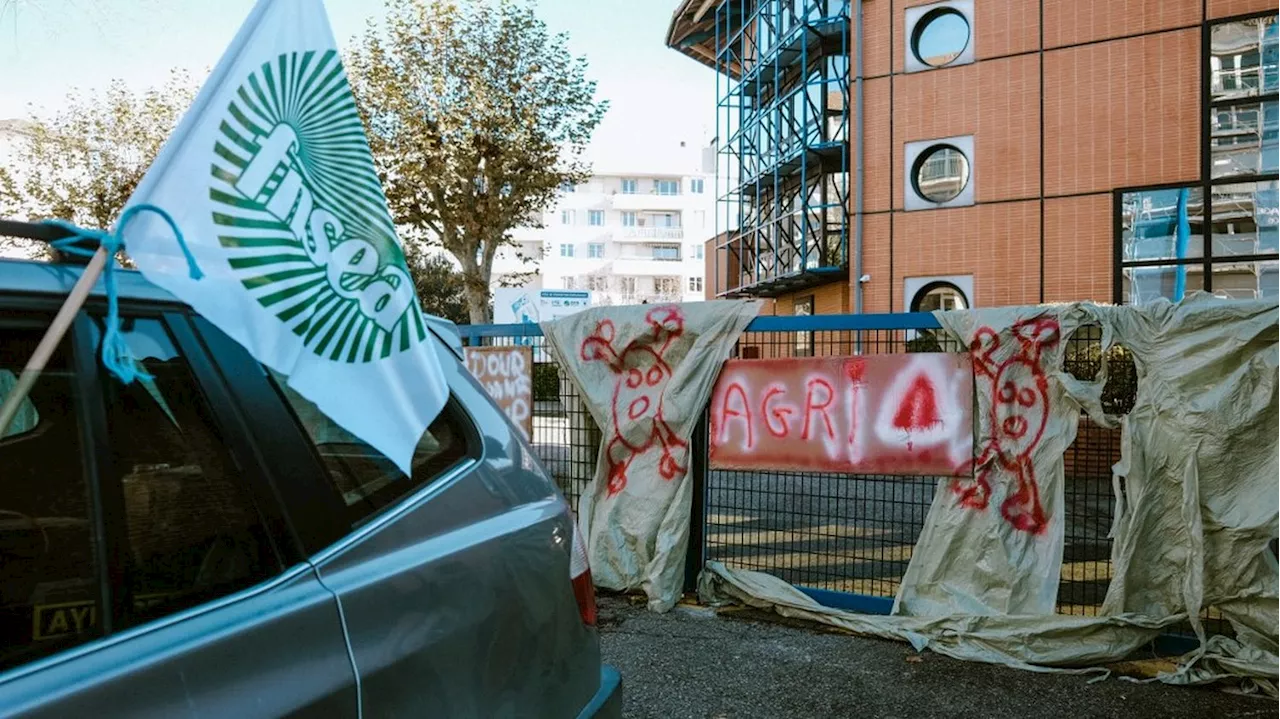 Colère des agriculteurs : la FNSEA appelle à de nouvelles mobilisations 'partout en France' les 9 et 10 décemb