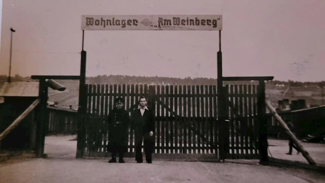 Vorhaben für ein Gewerbepark auf KZ-Gründen in Mauthausen löst Welle der Proteste aus