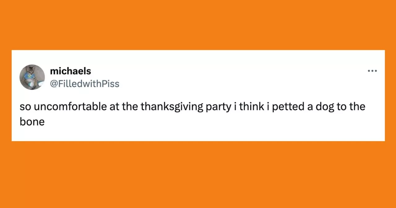 Hilarious Pet Tweets That Will Make You Howl