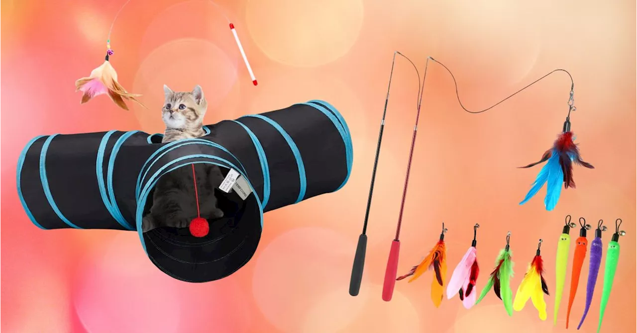 13 Popular Cat Toys (and Treats) To Gift Your Furry Feline This Holiday Season