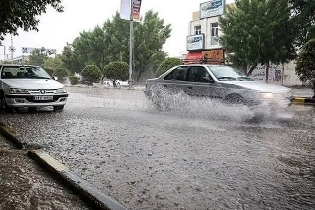 Yalnız %30'dan Az Koruma Alanı Güncel izleme Cihazlarıyla İzleniyor