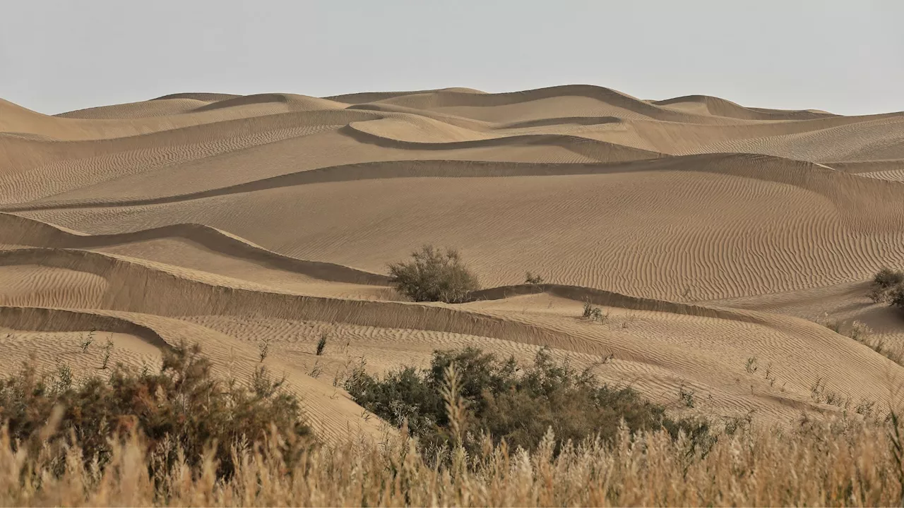 China tames ‘sea of death’ desert’s shifting sand with giant solar wall, trees