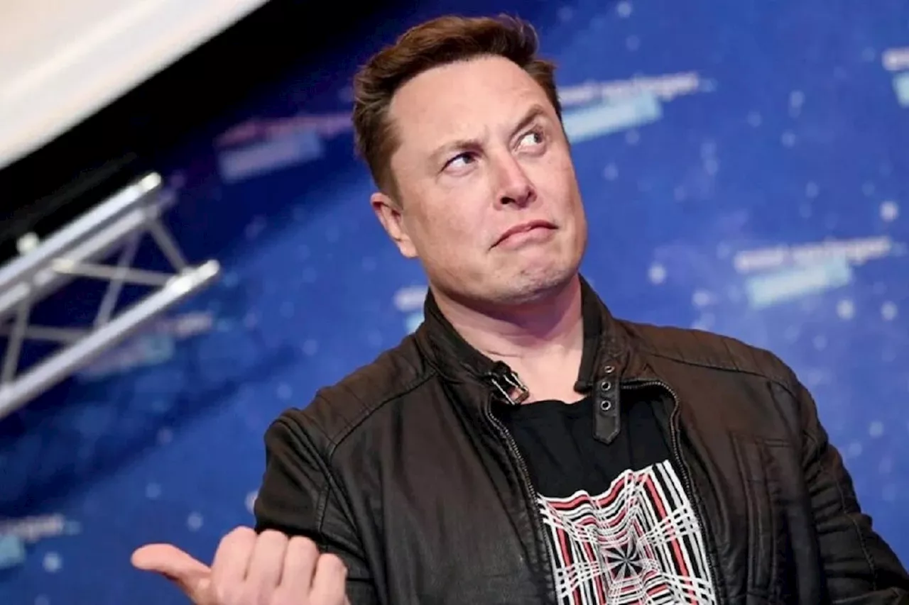 Elon Musk lance son studio de jeu vidéo pour s'attaquer au « wokisme »