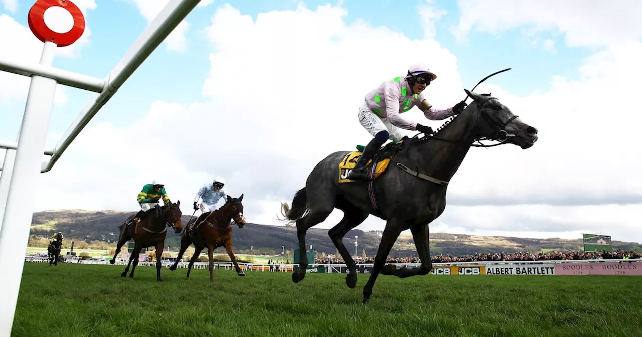 Fairyhouse Prepares for Unseasonal Watering Amidst Winter Festival Racing