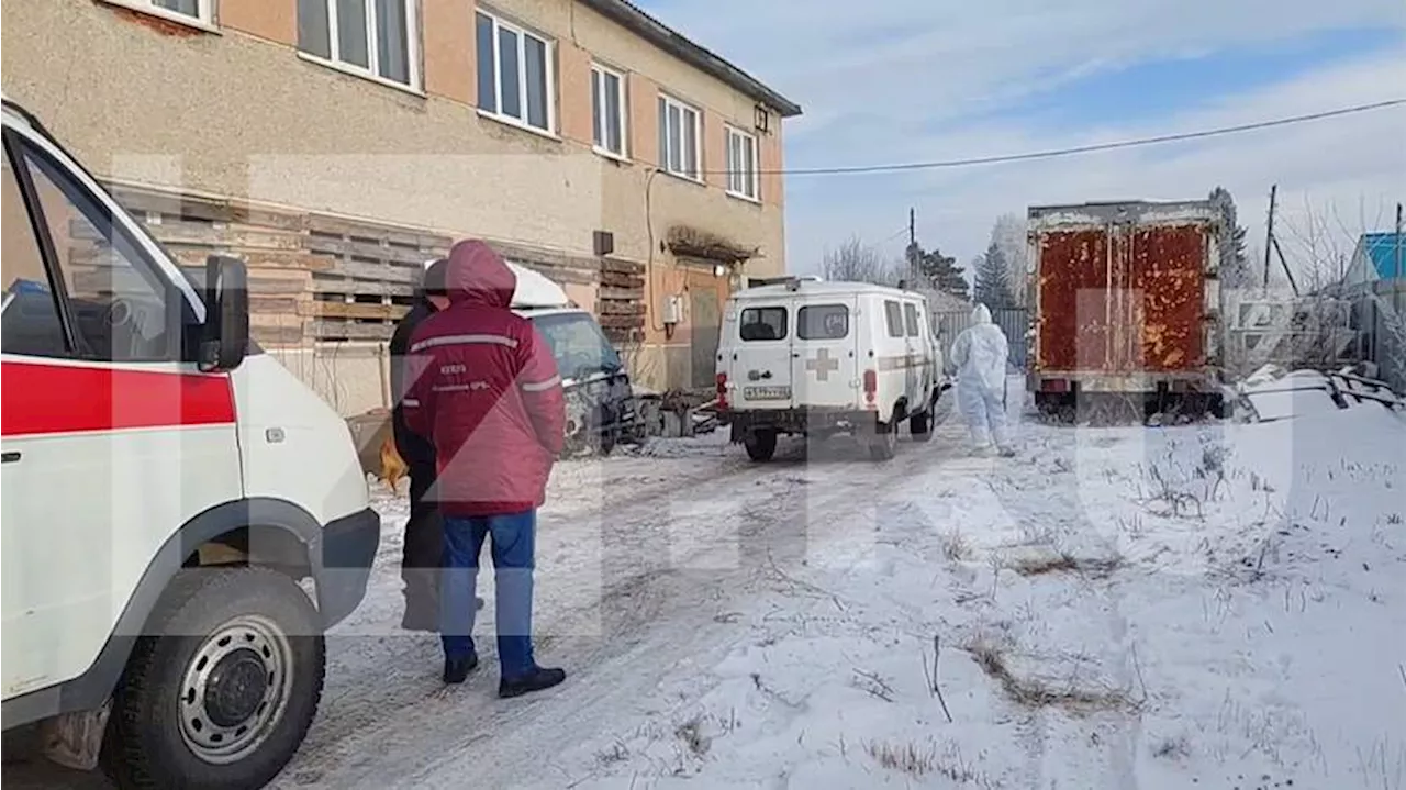 Массовое Отравление в Социальном Центре Алтая: Три Потерпевших Жизни