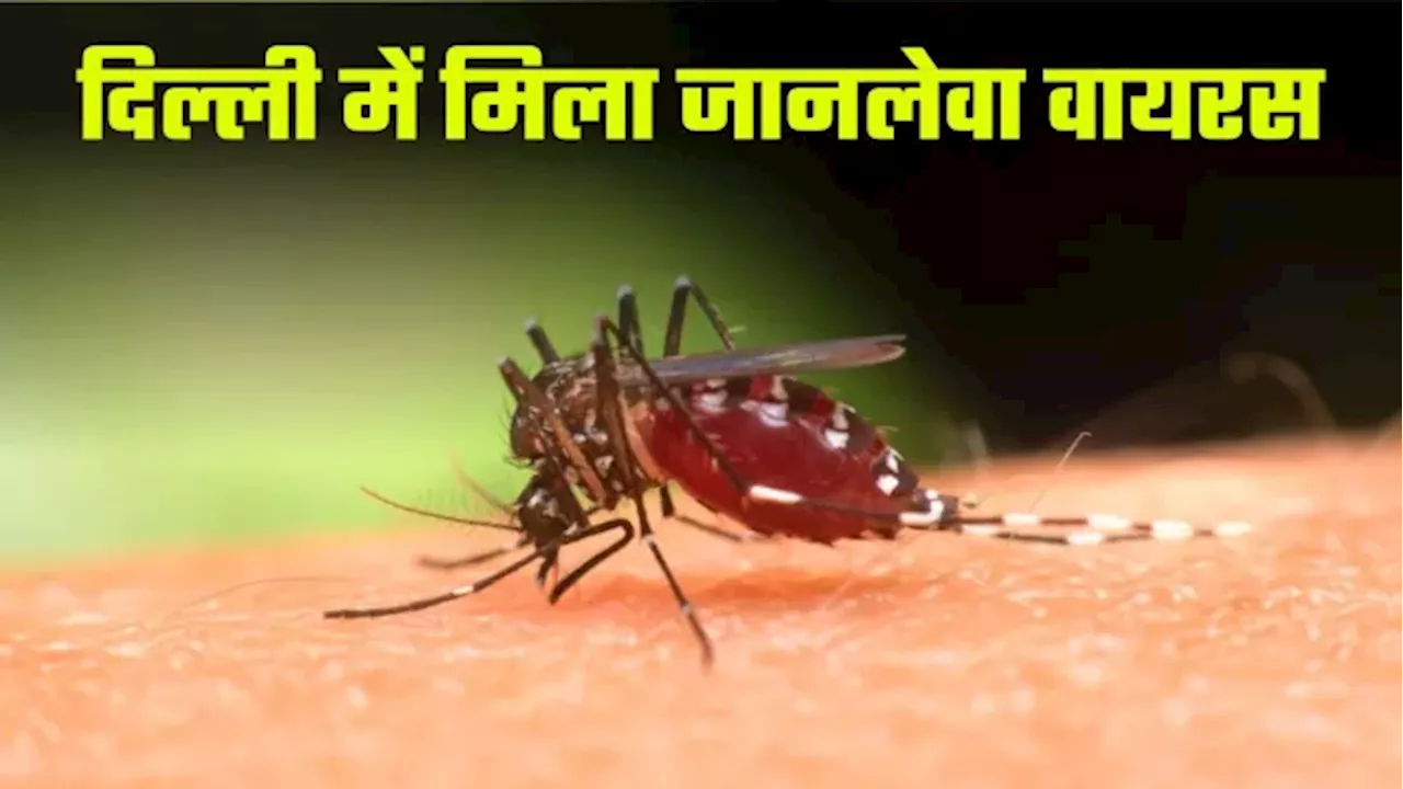 दिल्‍ली में सामने आया जानलेवा Japanese Encephalitis का केस, जानें लक्षण और बचाव के तरीके