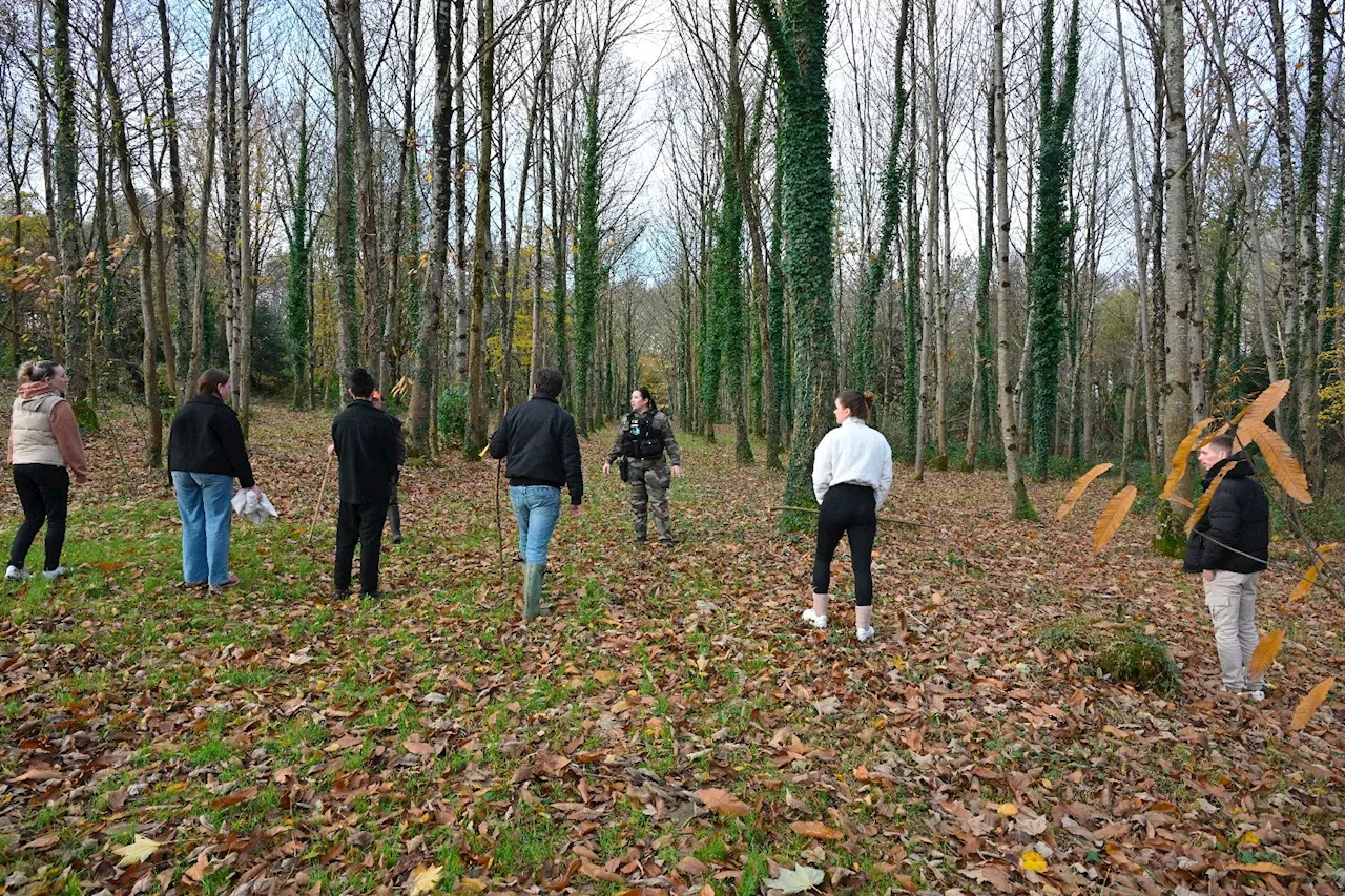 Adolescente disparue en Bretagne: 700 à 800 bénévoles mobilisés pour une battue