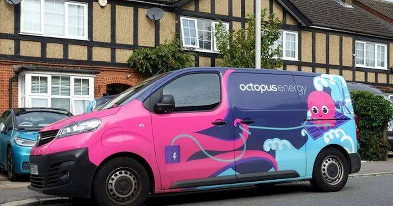 Octopus Energy says make this 4-minute change to get up to £65 back