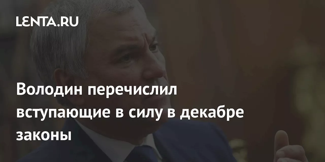 Володин перечислил вступающие в силу в декабре законы