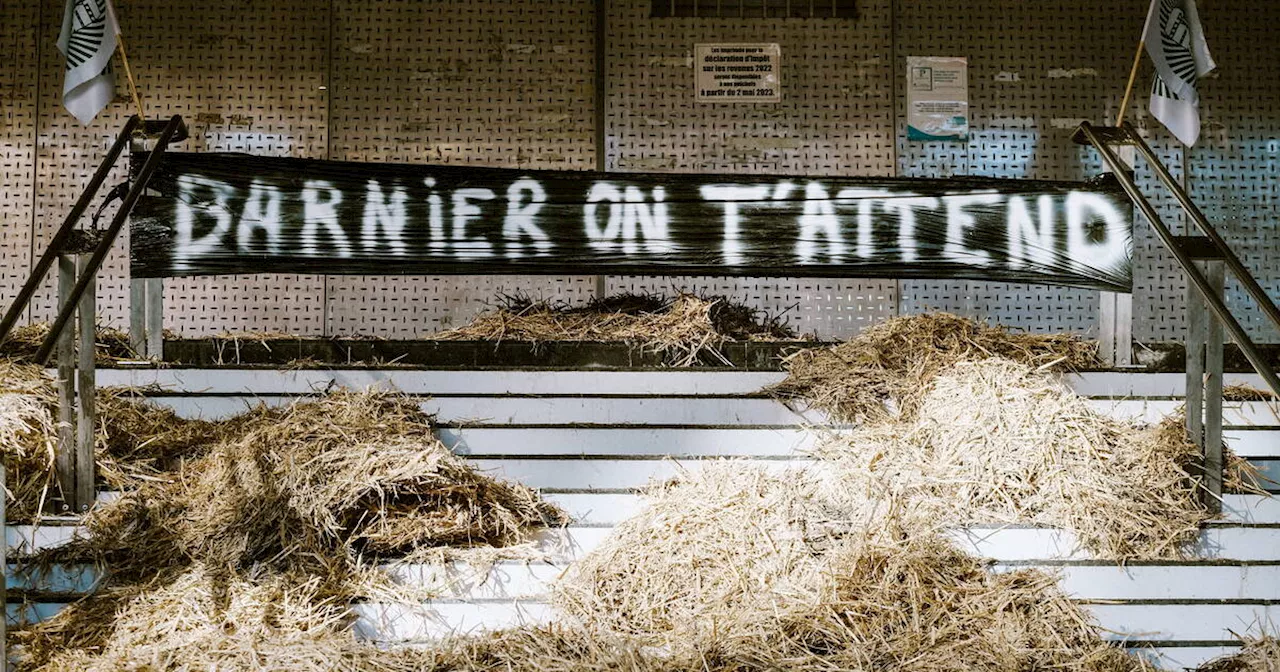 Agriculteurs en colère : la FNSEA annonce deux nouvelles journées de mobilisation les 9 et 10 décembre