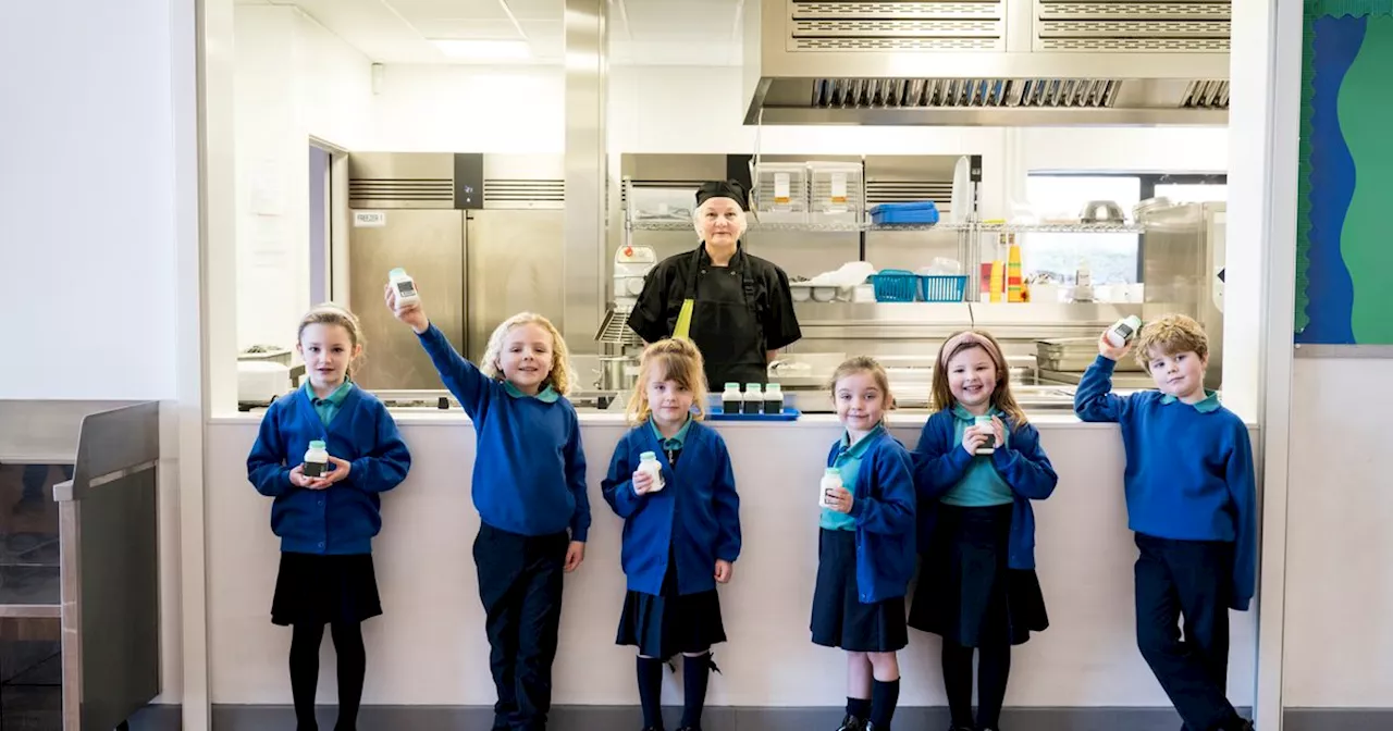 School breakfast clubs delayed until 2026 as concerns over readiness grow