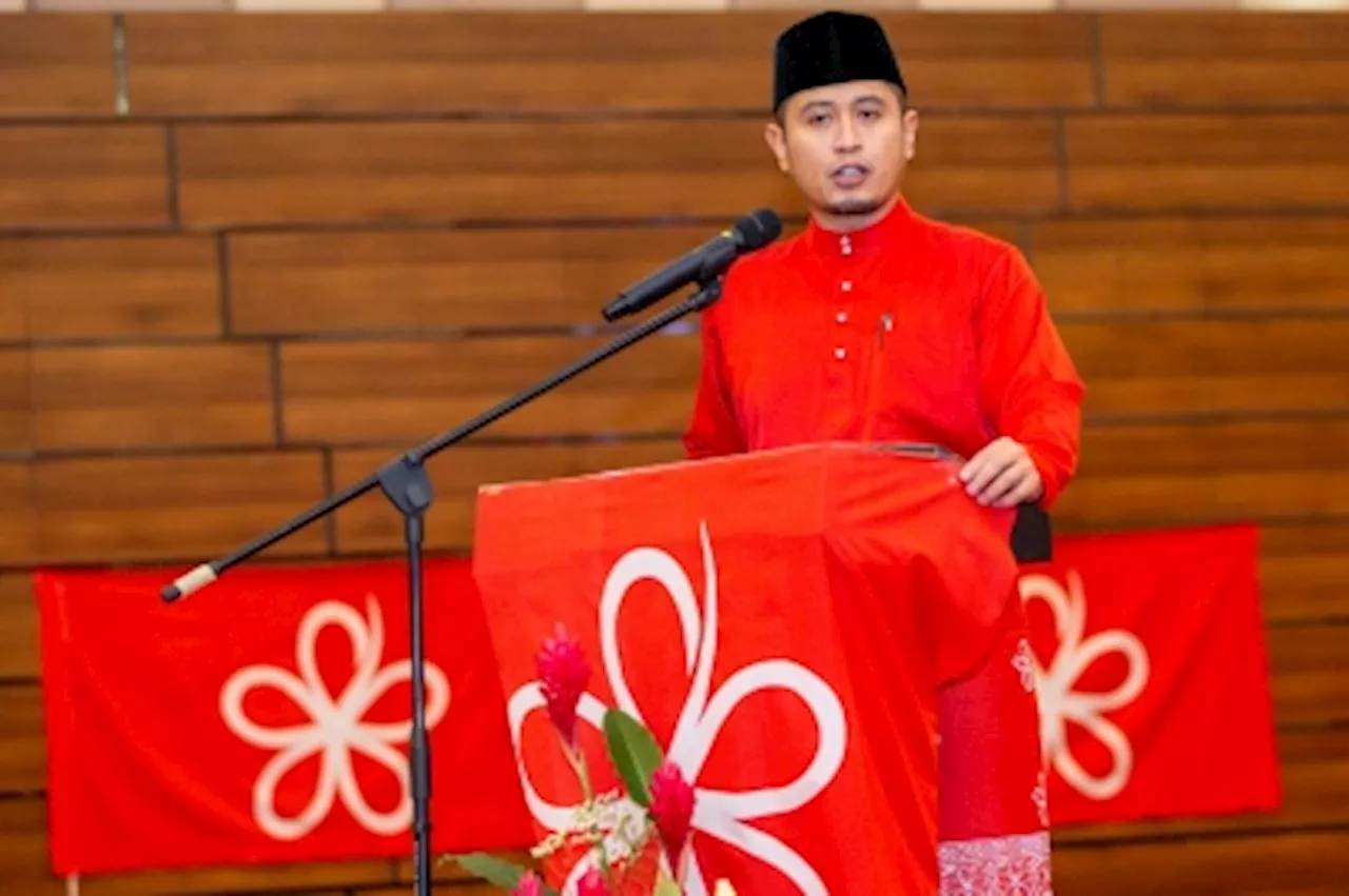 New Bersatu Youth chief insists only Muhyiddin can be Perikatan’s ‘supreme’ leader