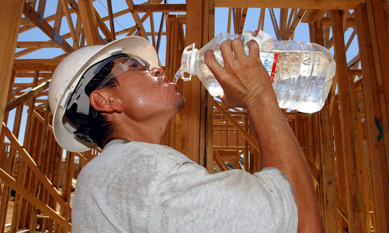 'Pour prévenir les risques liés aux conditions climatiques extrêmes, les employeurs doivent adopter une approche proactive'