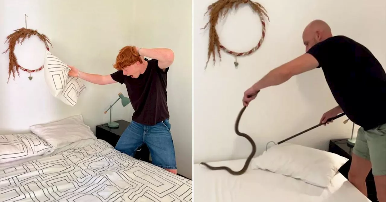 Teenager found four foot cobra in his bed after drunk night out