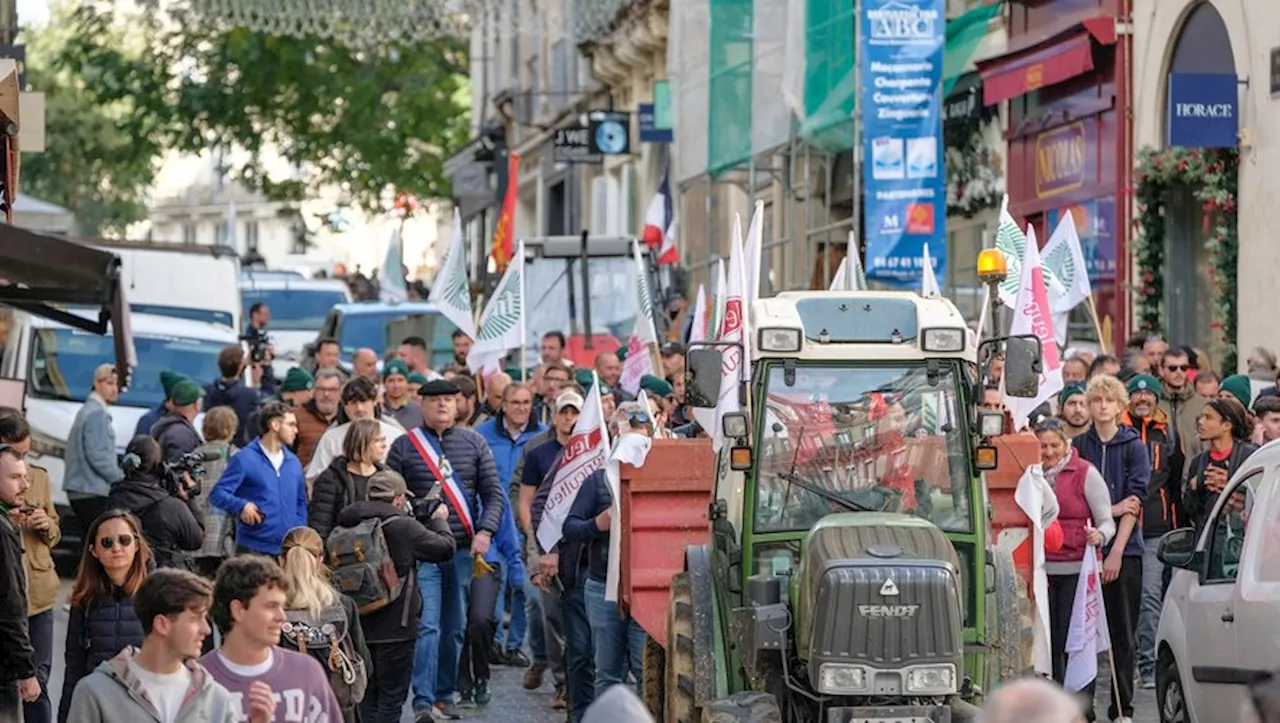 Colère des agriculteurs : la FNSEA annonce une nouvelle mobilisation 'partout en France', voici les dates des