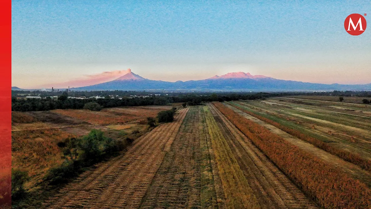 Volcán Popocatépetl HOY: Registra 31 exhalaciones este 29 de noviembre