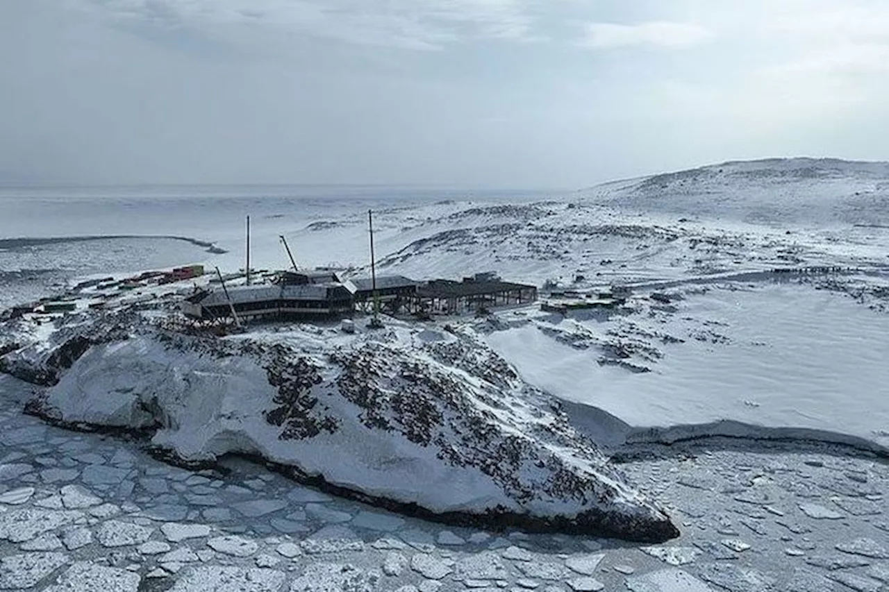 Россияне, застрявшие на круизном лайнере, потребовали вернуть деньги за круиз