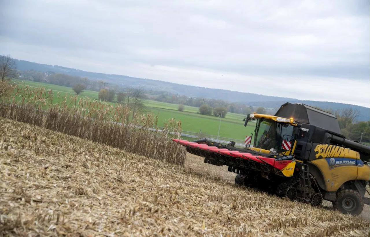 Landwirtschaft: Bayern setzen auf einheimische Lebensmittel, sehen aber auch Nachholbedarf