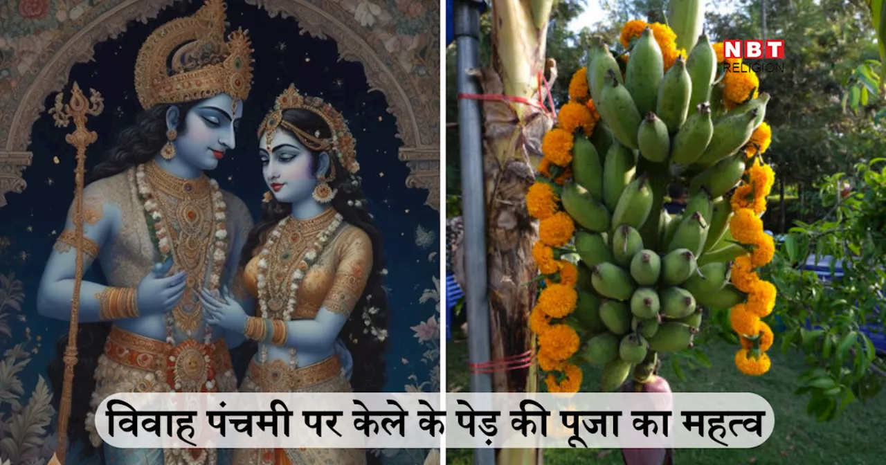 Vivah Panchami 2024: विवाह पंचमी पर केले के पेड़ की पूजा क्यों की जाती है