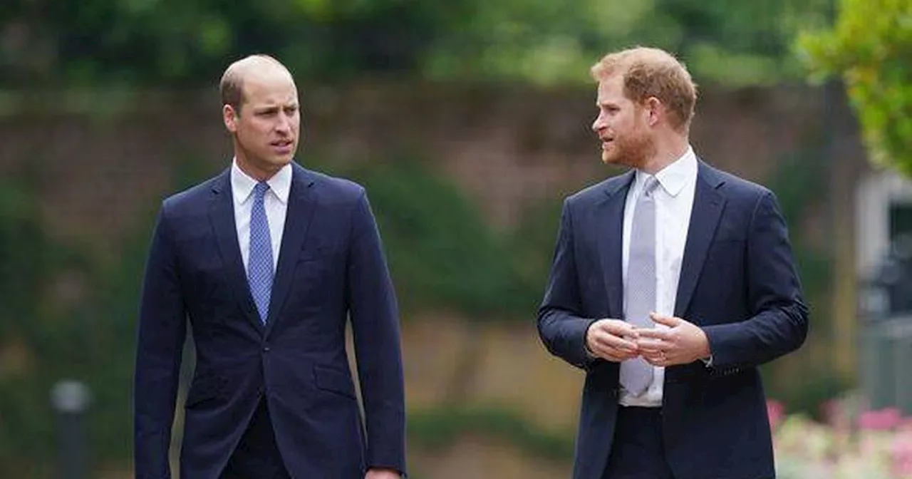 Harry and William called out by Ricky Gervais over jaw-dropping move at gig