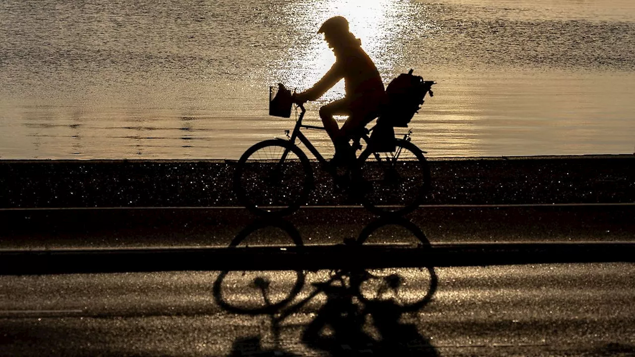 Hamburg & Schleswig-Holstein: Madsen sieht Fortschritte beim Fahrradverkehr