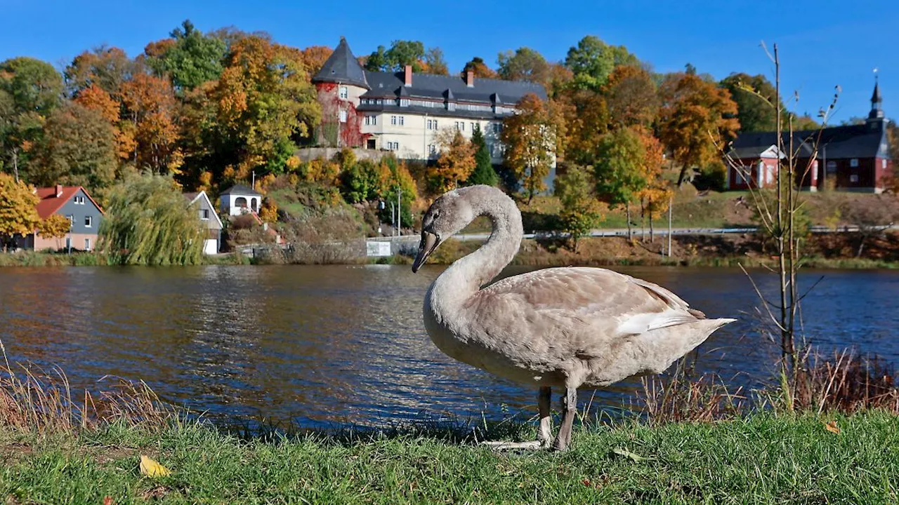 Sachsen-Anhalt: DWD: Herbst in Sachsen-Anhalt außergewöhnlich warm