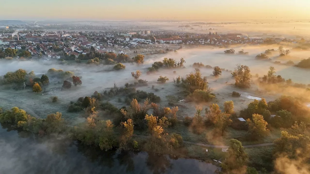 Sachsen-Anhalt: Freundliches Wochenende in Sachsen-Anhalt