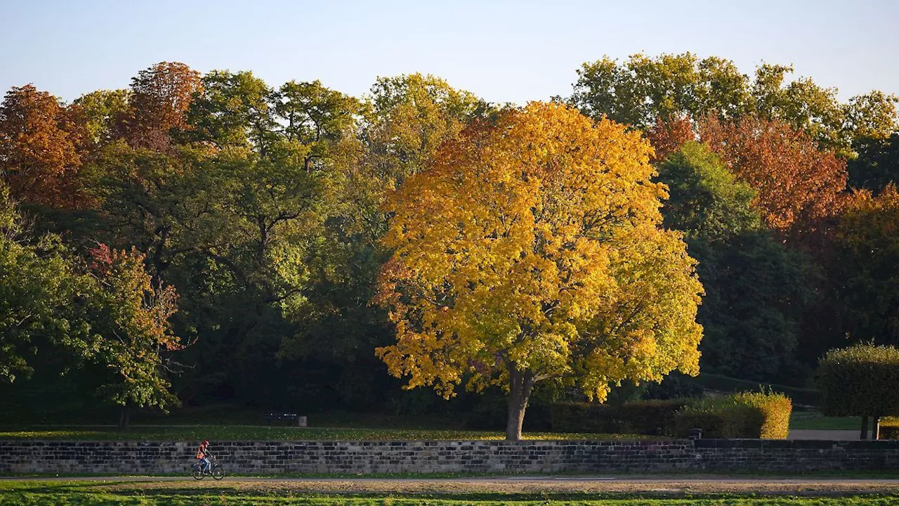 Sachsen: Herbst in Sachsen kühler als im Vorjahr