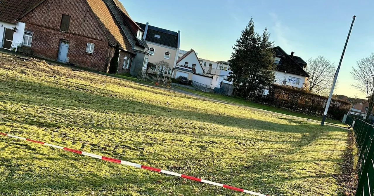 Kita-Baustart mit Strafzahlung? Geschützter Baum in Hövelhof einfach gefällt