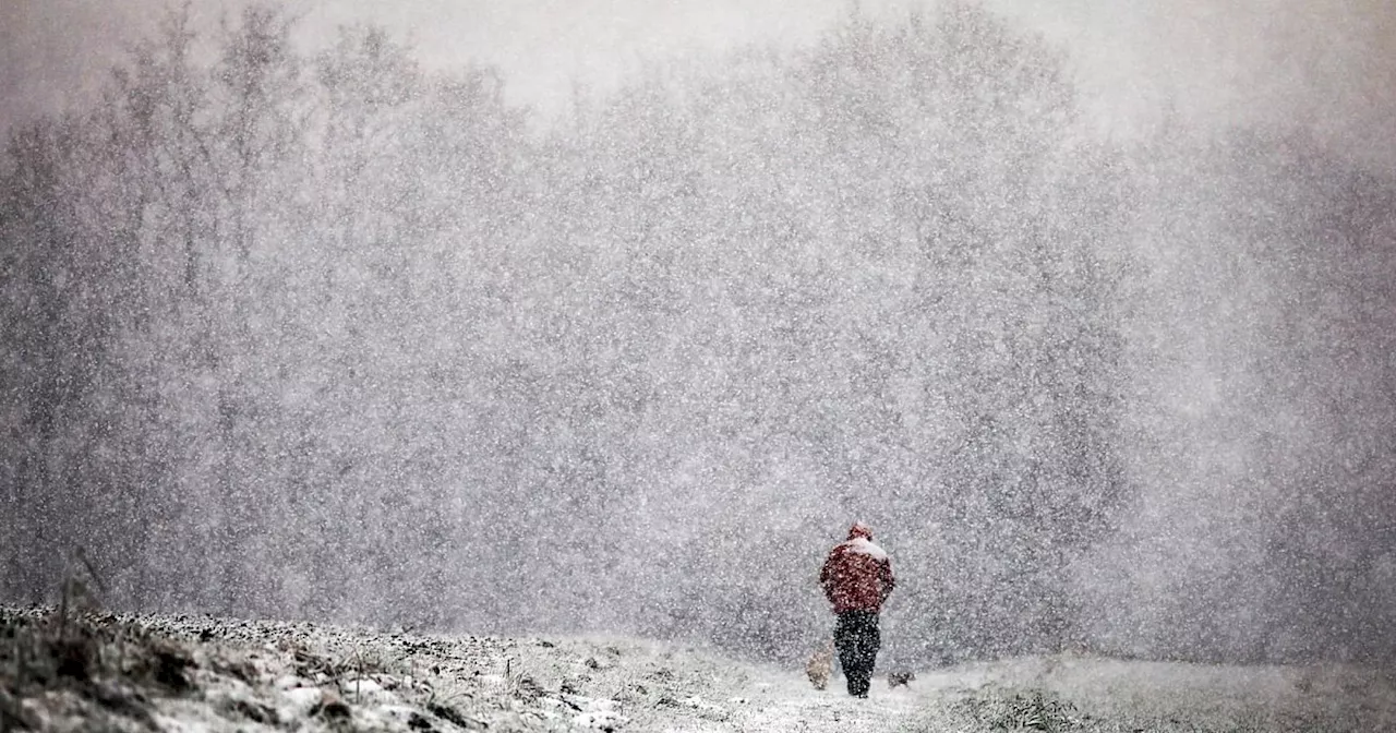 Schnee in OWL? So sind die Aussichten auf weiße Weihnachten 2024