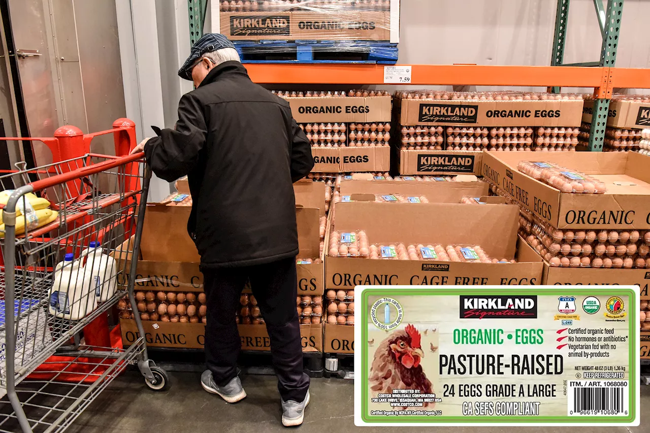 Costco recalls 10,800 batches organic eggs from a NY farm over salmonella fears