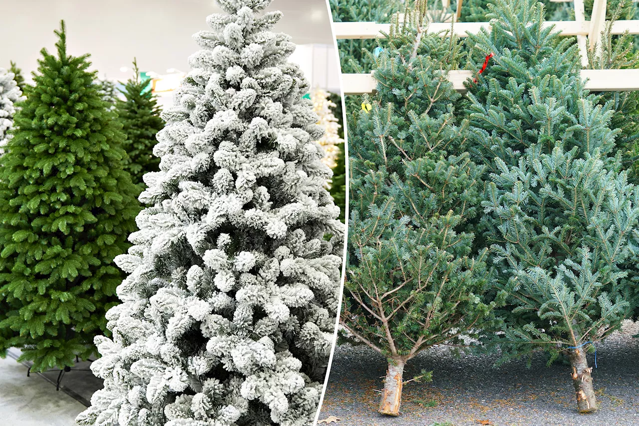 Real vs. fake Christmas trees: Experts debate which one is better for the environment