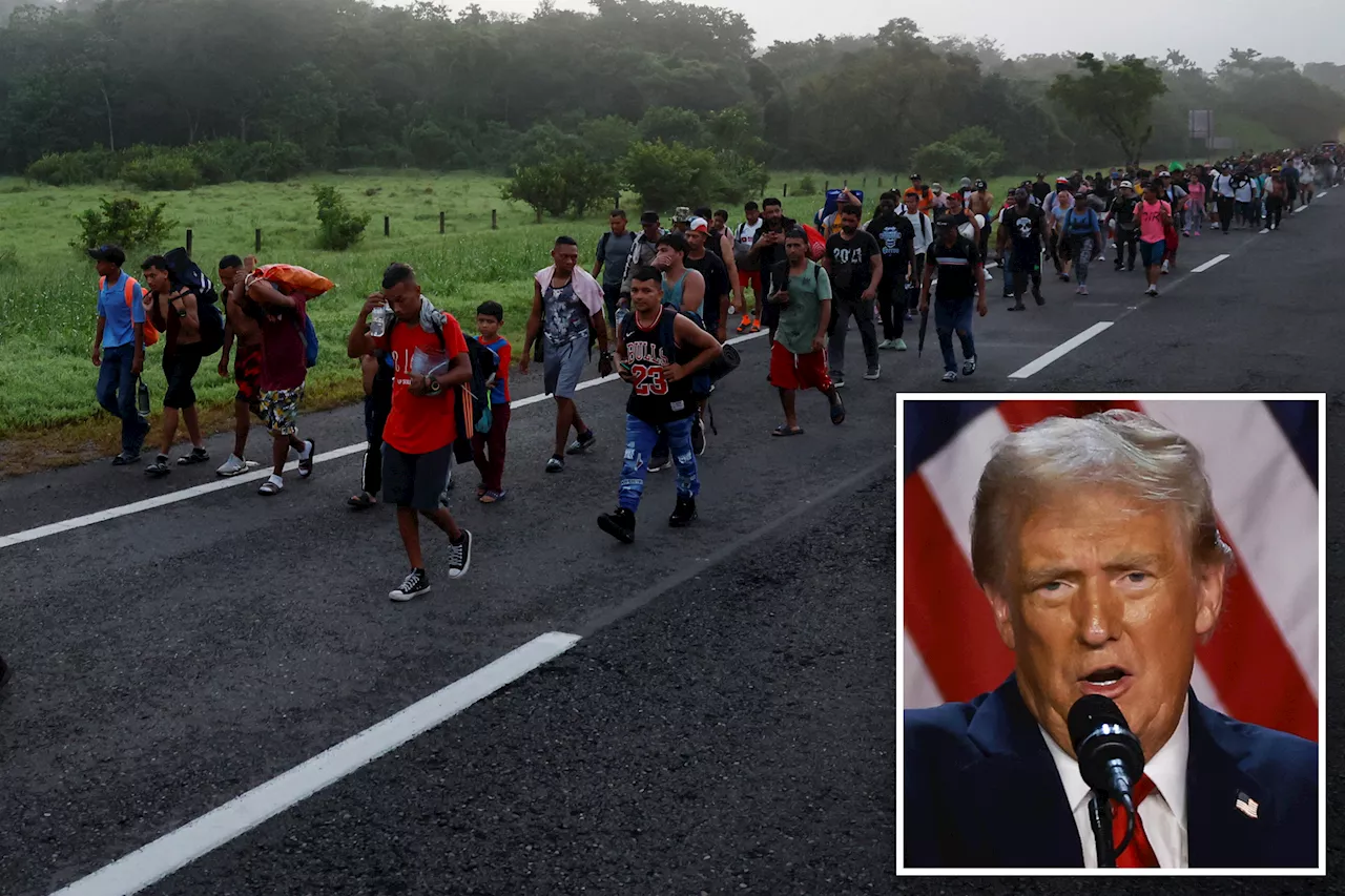 Trump plans to give local sheriffs more power to help with the spiraling migrant crisis: report