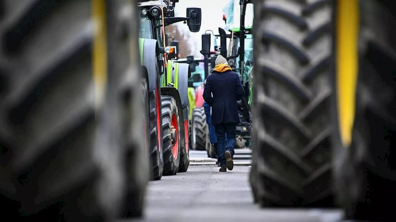 Colère des agriculteurs : la FNSEA appelle à de nouvelles mobilisations les 9 et 10 décembre