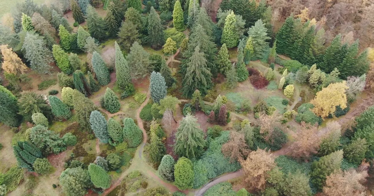 Vrijwilligers nodig om Pinetum Ter Borgh toekomstbestendig te maken