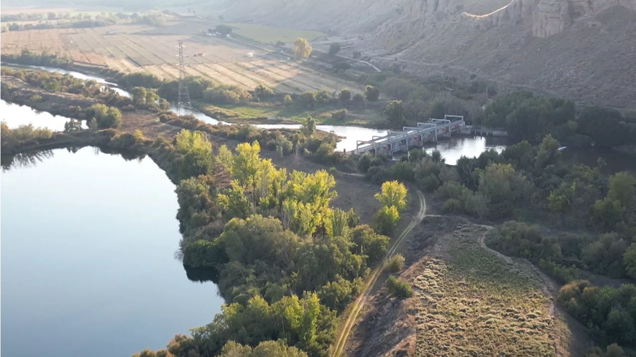 El Profesor Andreu Rico de la Universidad de Valencia Alerta sobre los Impactos de Contaminantes en el Agua