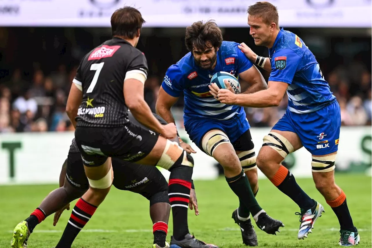 Stormers Set to Upset Sharks in First Local Derby of the Season