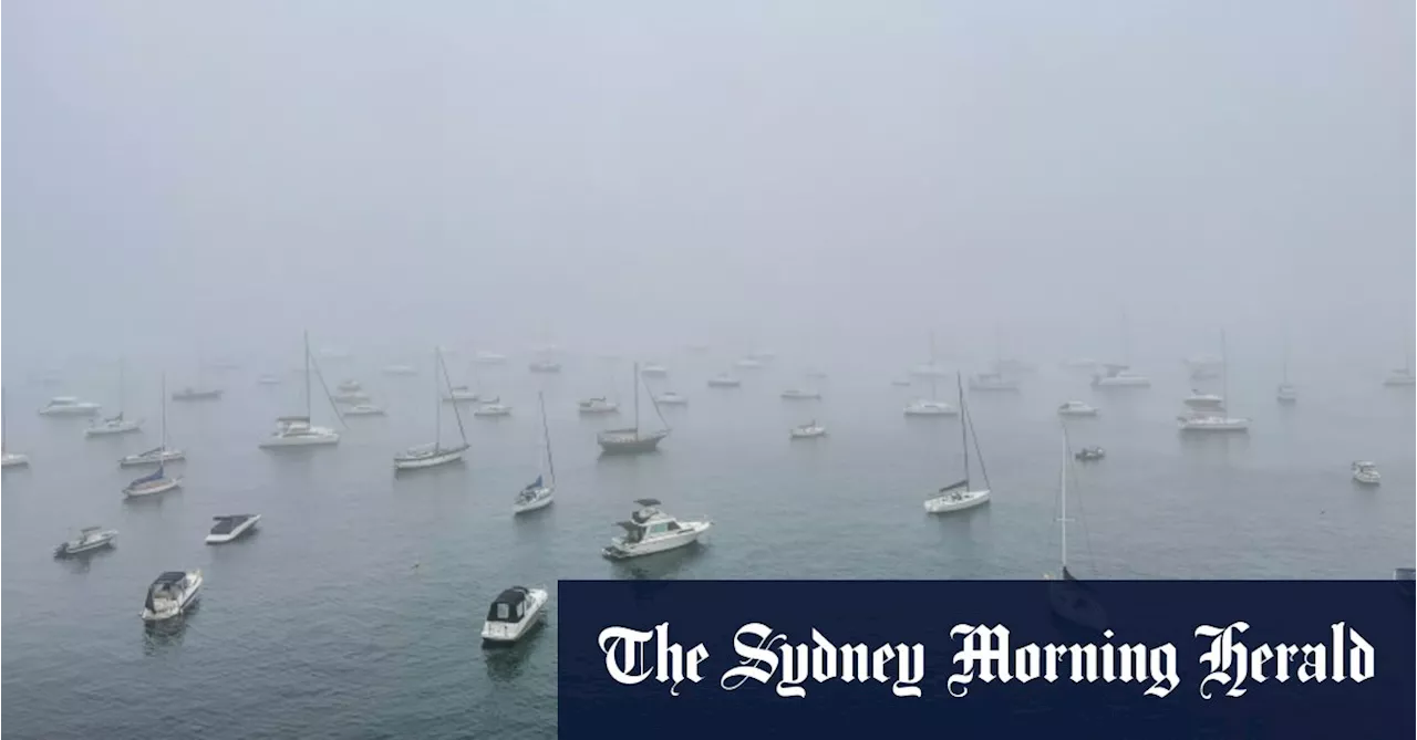 Person Rescued as Sydney Braces for More Rain and Floods