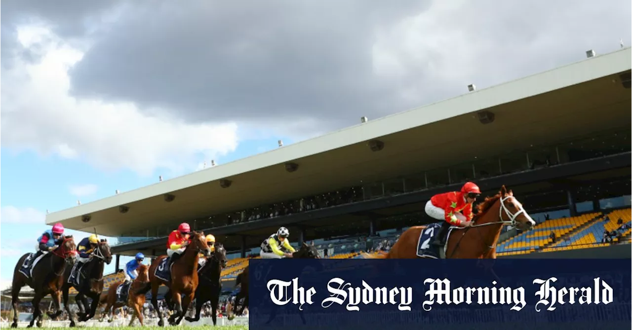 Race-by-race preview and tips for Rosehill on Saturday