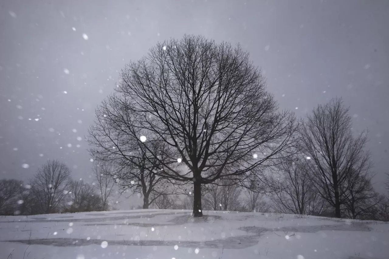 Parts of Ontario could get more than 75 cm of snow this weekend: Environment Canada