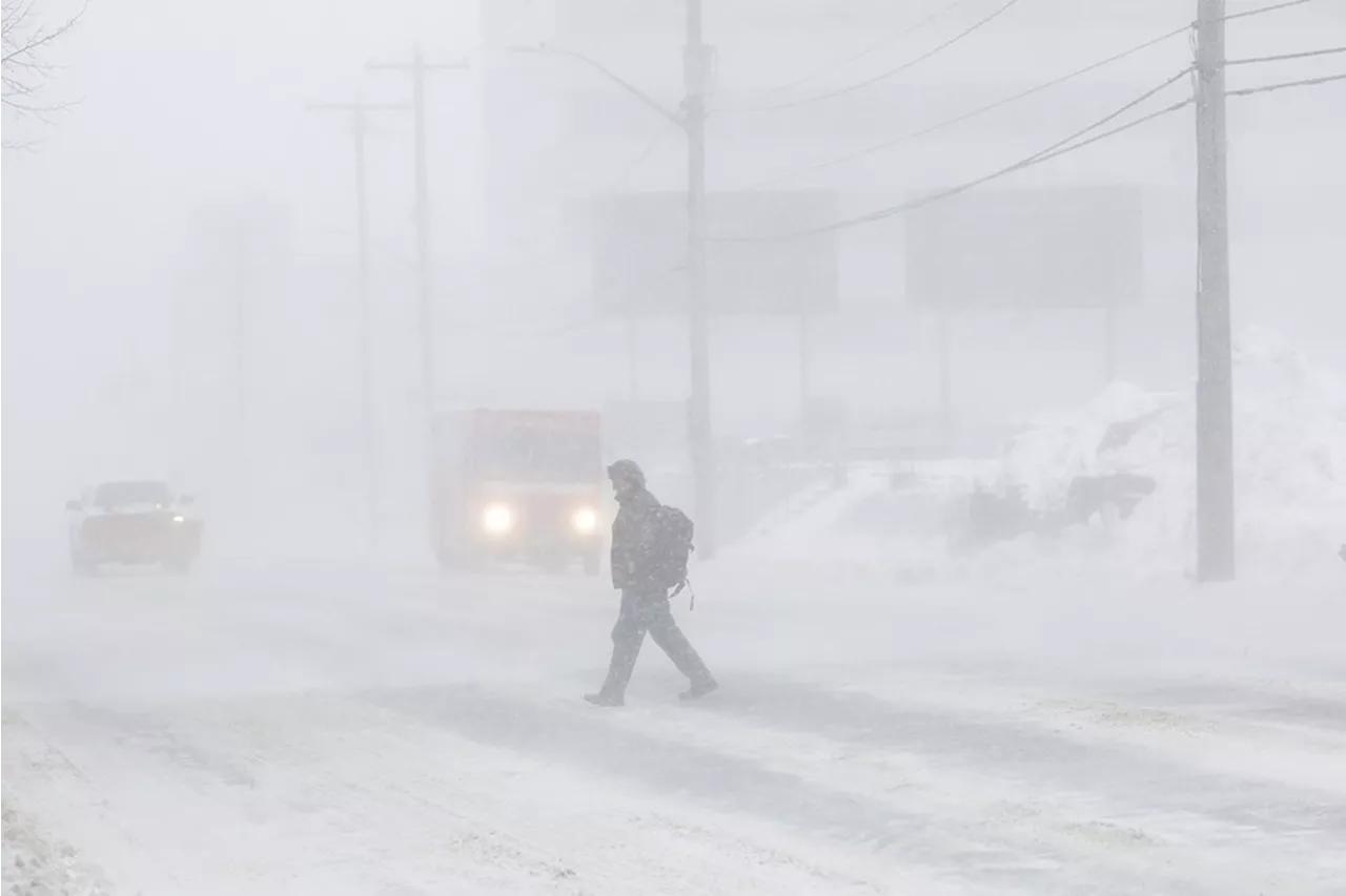 Up to 50cm of snowfall possible as 'hazardous' snow squalls impact the Sault