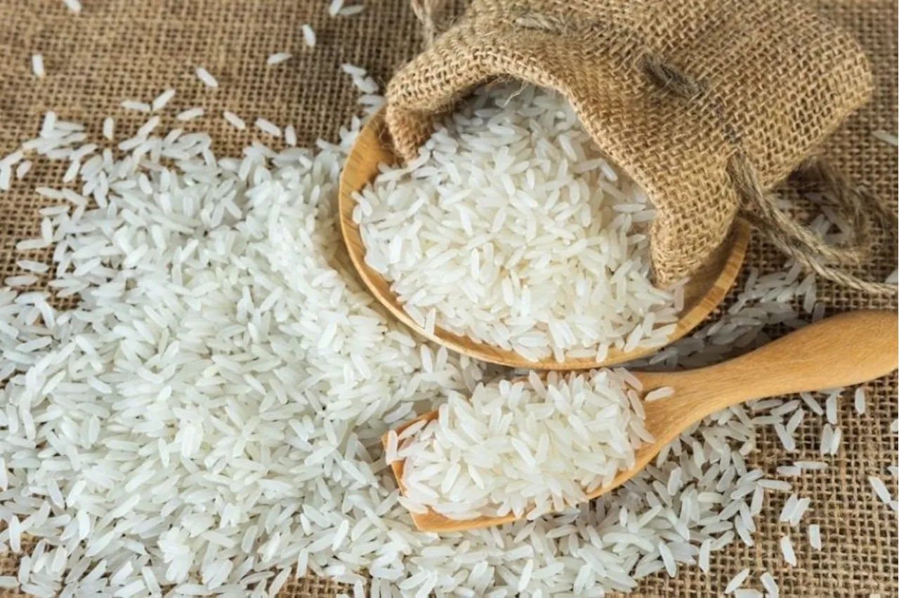 Bernas Agrees to Reduce Imported White Rice Prices in Malaysia