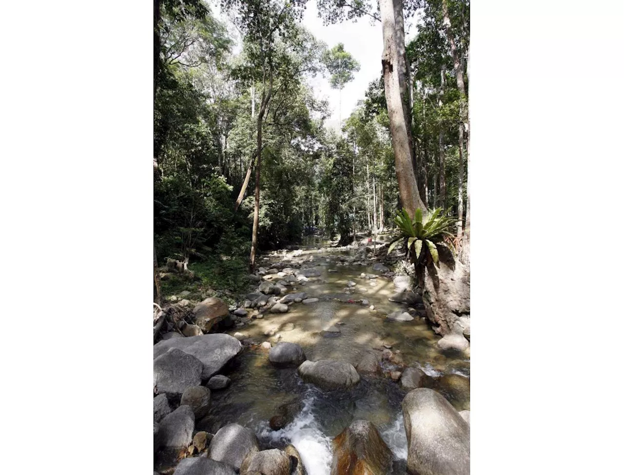 Negri's Ulu Bendul Park closed till Dec 15 over suspected leptospirosis cases