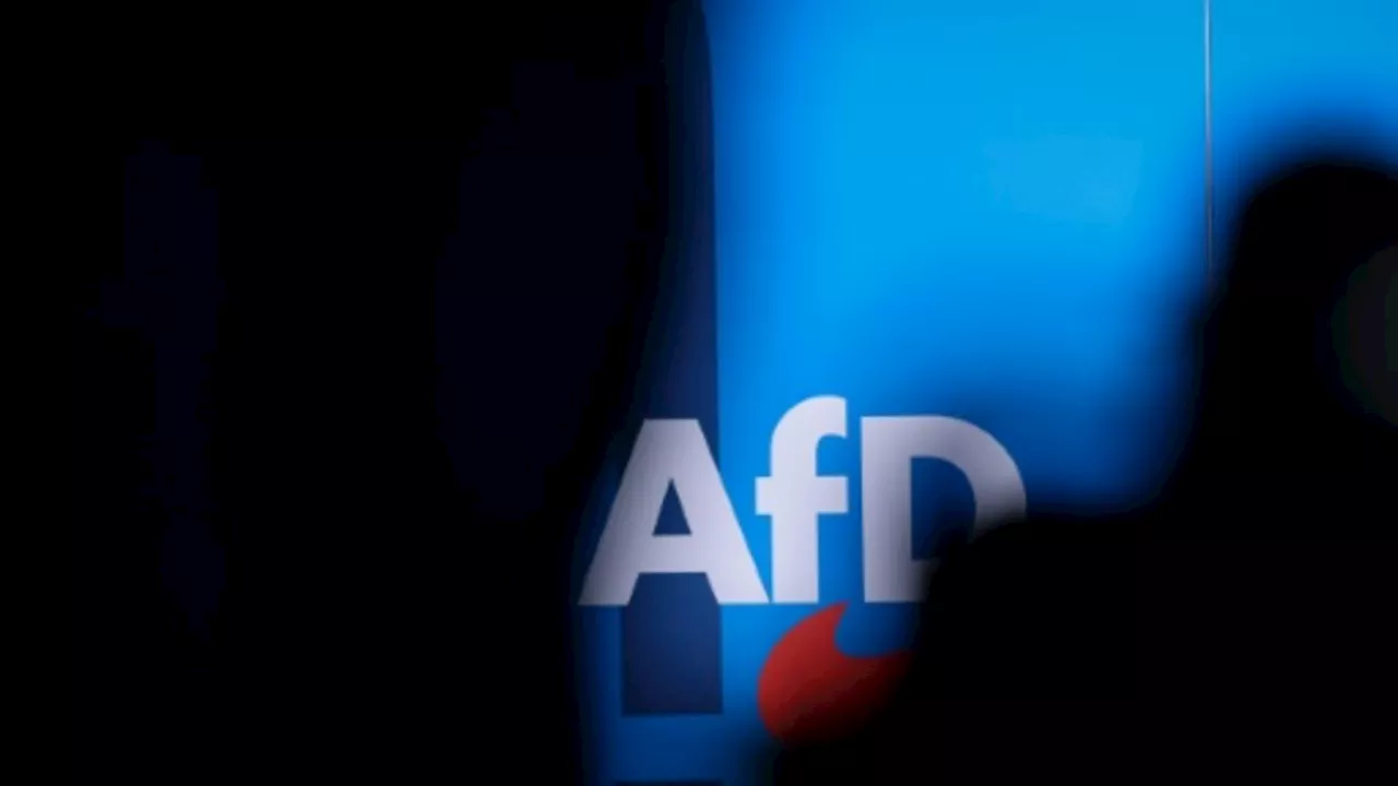 Wahlprogramm: AfD will Abtreibungen einschränken und aus EU austreten