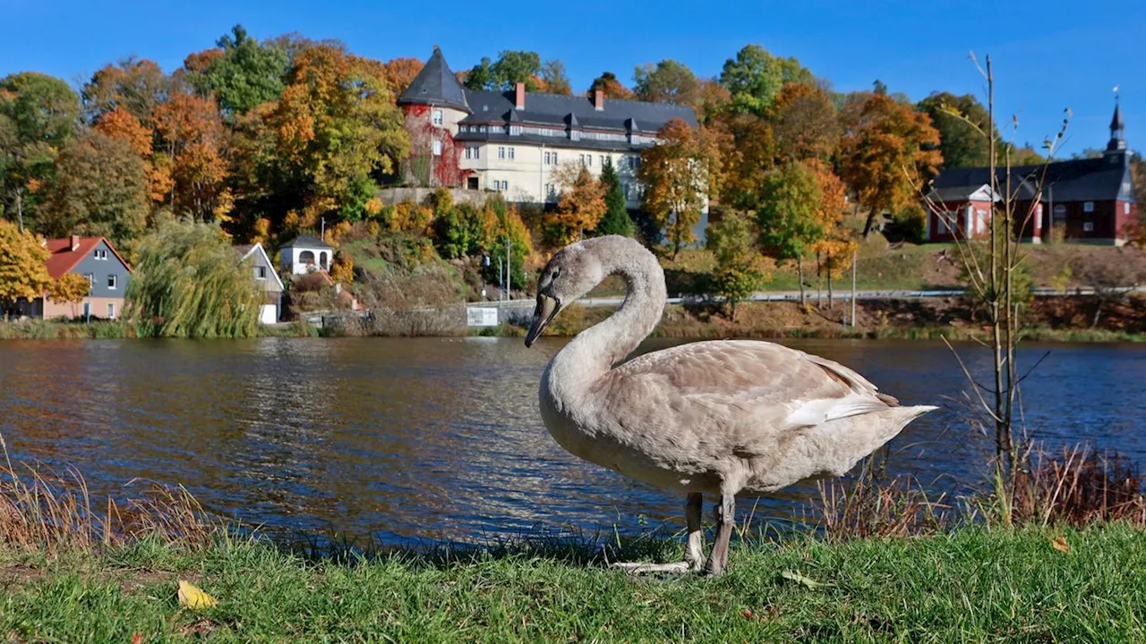 Wetter: DWD: Herbst in Sachsen-Anhalt außergewöhnlich warm