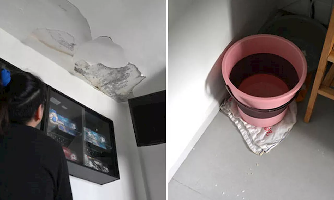 Rain brings stress to Serangoon residents who are battling ceiling leaks and mould