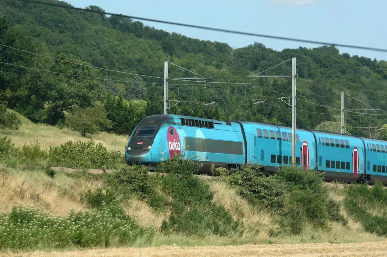 Lot-et-Garonne : Un train Ouigo Paris-Toulouse percute une voiture